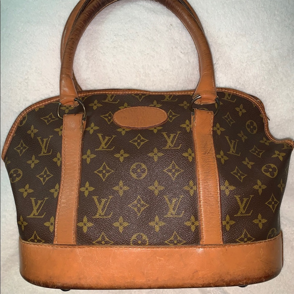 Vintage Louis Vuitton Pet/Dog Carrier